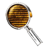 External Audit Path
